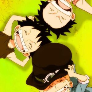 One Piece Anime Wallposter
