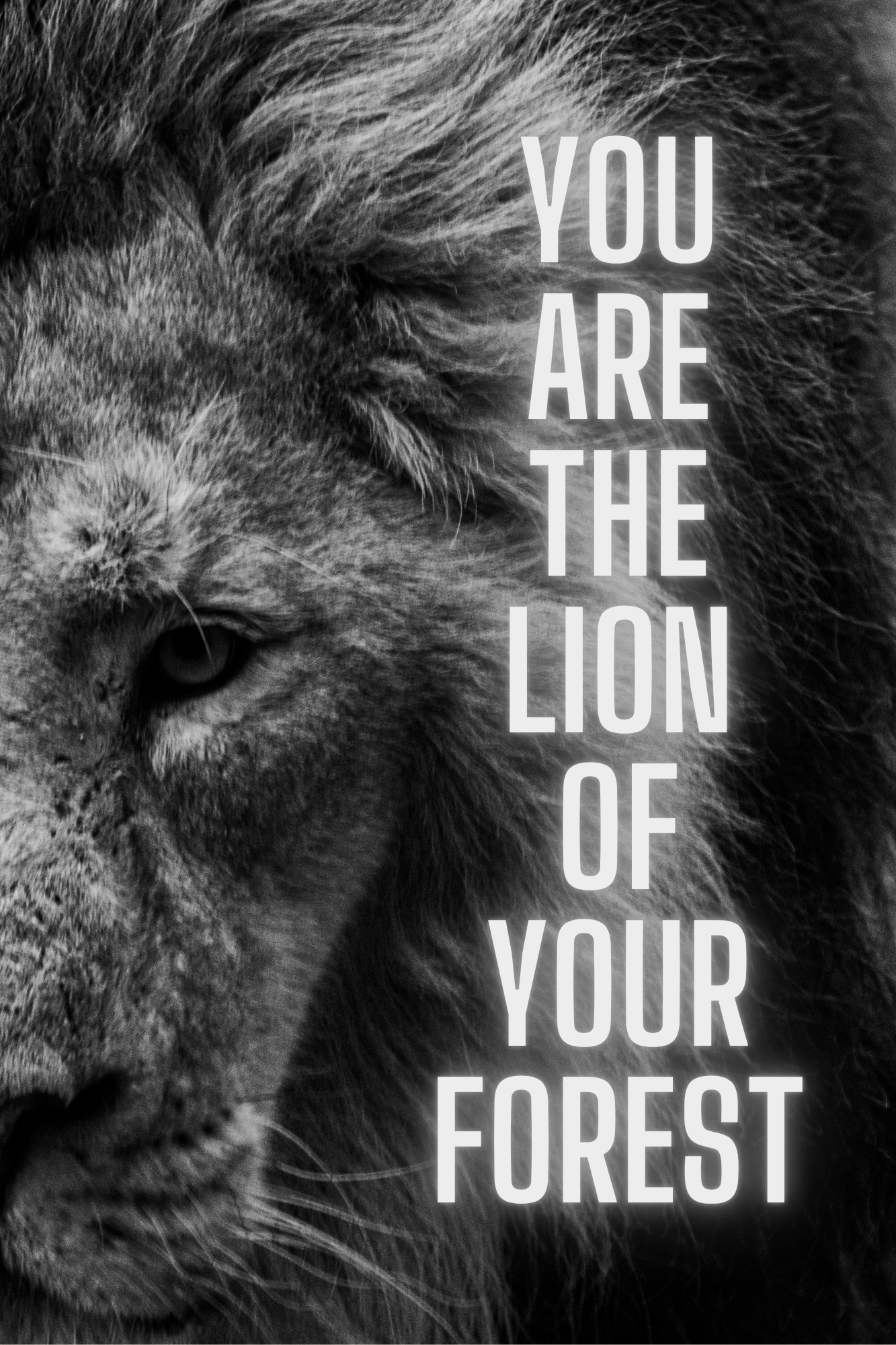 Lion Quotes Wall Poster - Image 2